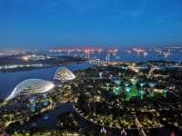 MBS Infinity Pool with Garden View🌺