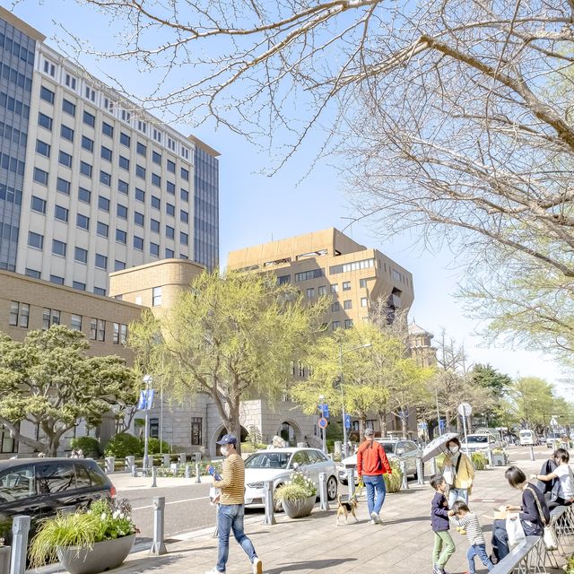 春の日本大通り