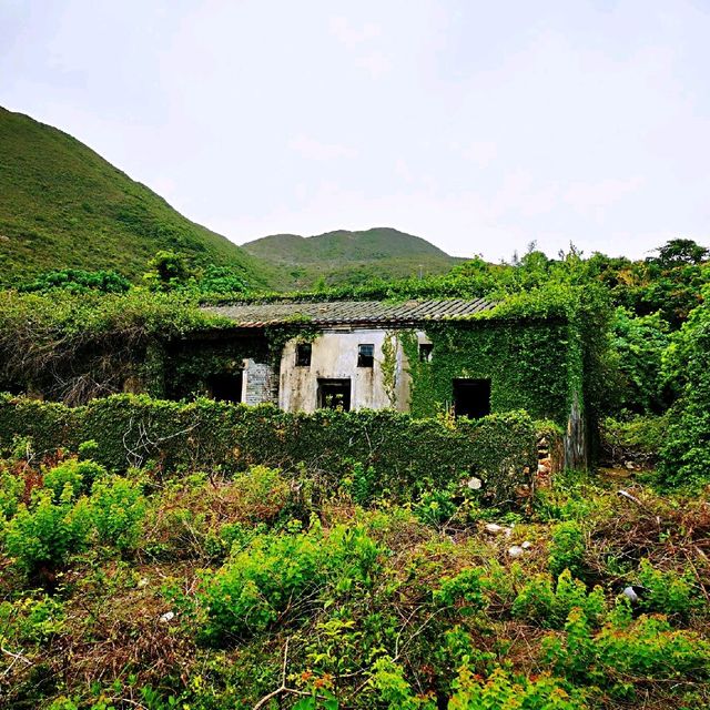 隱世山脈白虎山