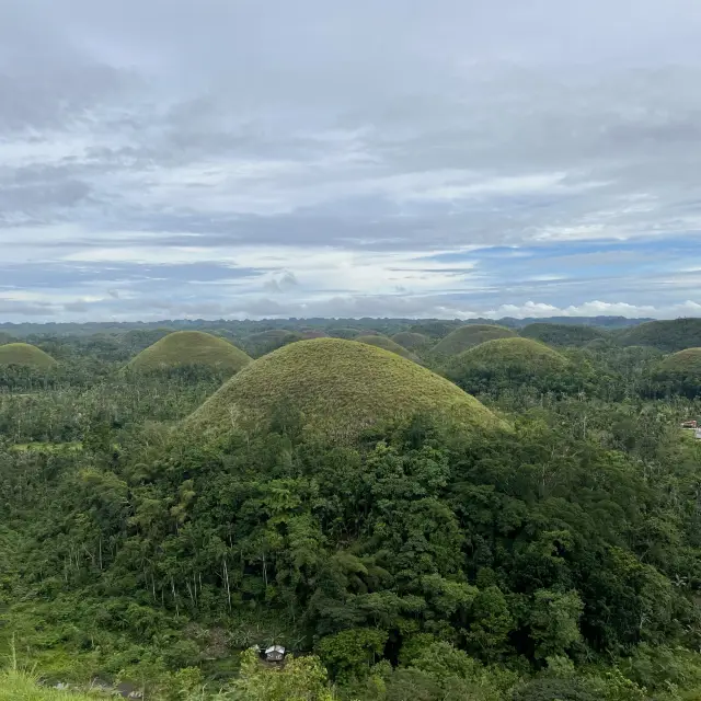 the Philippines 🇵🇭 Bohol: chocolate hills and tarsiers