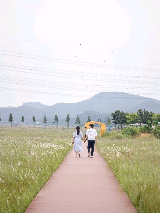 대부도 가볼만한 곳, 바다향기 테마파크
