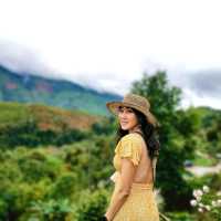 สวยจนอยากหยุดเวลาไว้ที่นี่ "หยุดเวลาคาเฟ่" 💚