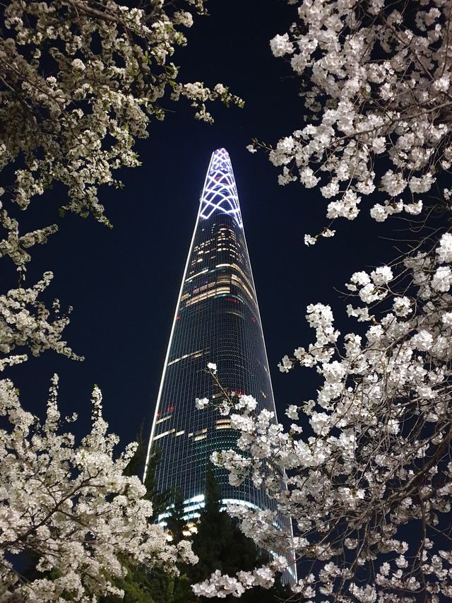밤에 더 빛나는 석촌호수 벚꽃🌸✨