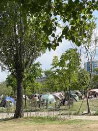 < 서울 여행 > 여의도 한강 공원 피크닉 나들이 🏕️