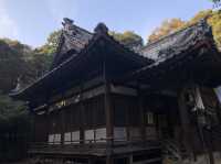 【長崎】境内をJRが通過する神社