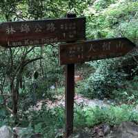 梧桐寨井底瀑