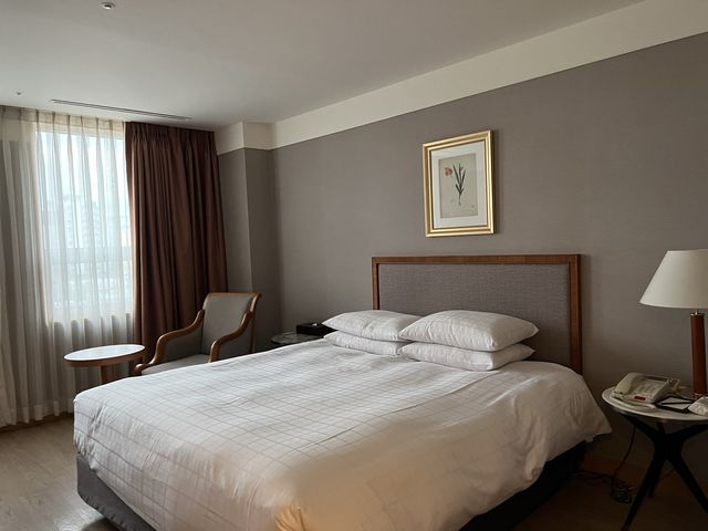 🇰🇷파3 호캉스~🏌️‍♀️🏨