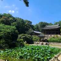 [서울]🌿부용 천국인 창덕궁 후원🏡