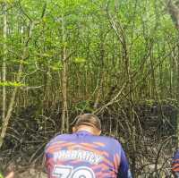 Kilim Geopark , Langkawi best experience ever