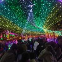 The most famous Illumination park in Japan