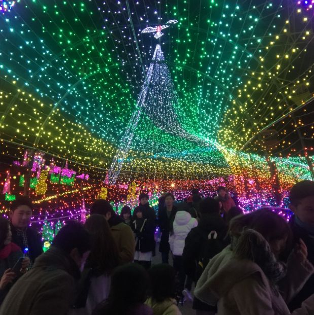 The most famous Illumination park in Japan