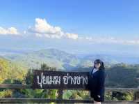 ลานกางเต็นท์ปุยเมฆอ่างขาง