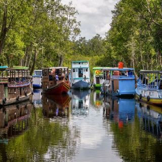 Tanjung Puting National Park 