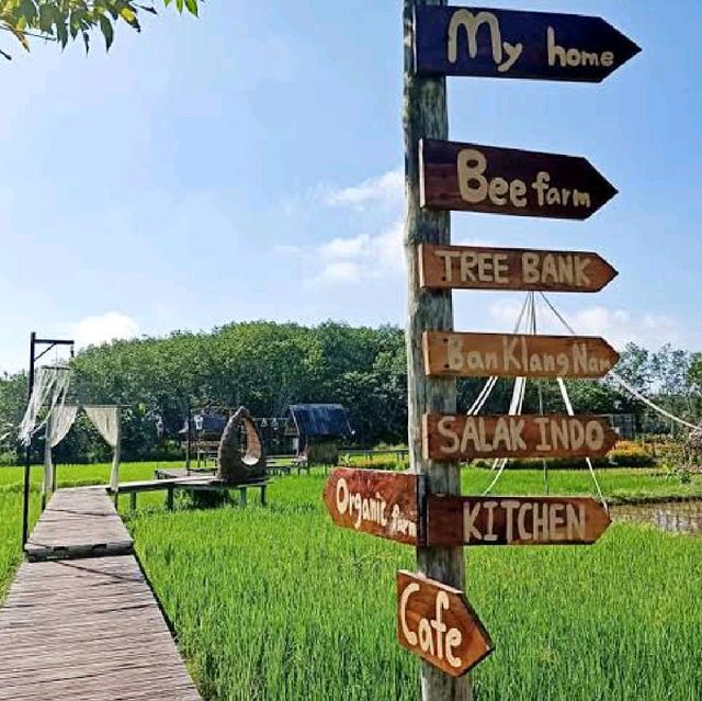 ไร่เกษมสุข Organic Farm