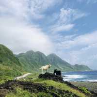 隨便拍隨便走都美麗的蘭嶼島