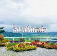 จุดชมวิวสวยปังเขาค้อ