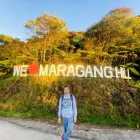 hiking in kundasang- maragang hill 