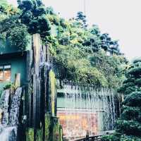 ［🪷南蓮園池🪷］