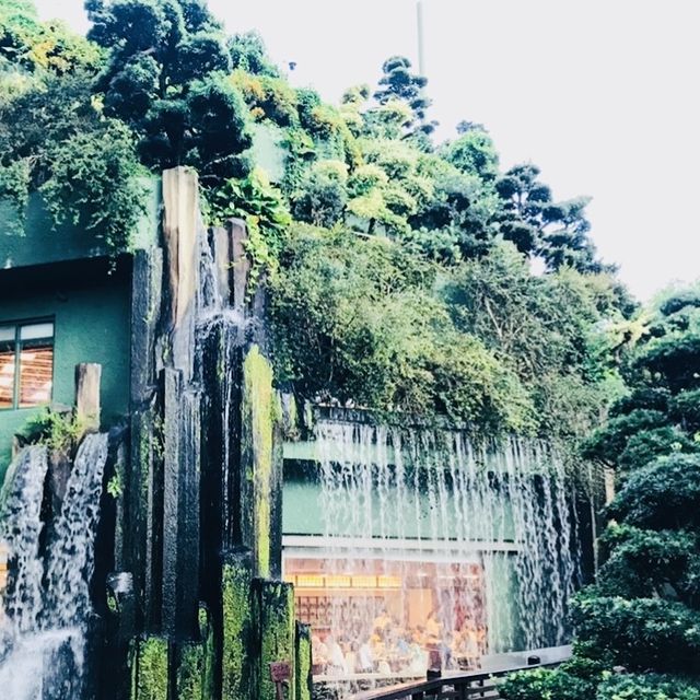 ［🪷南蓮園池🪷］
