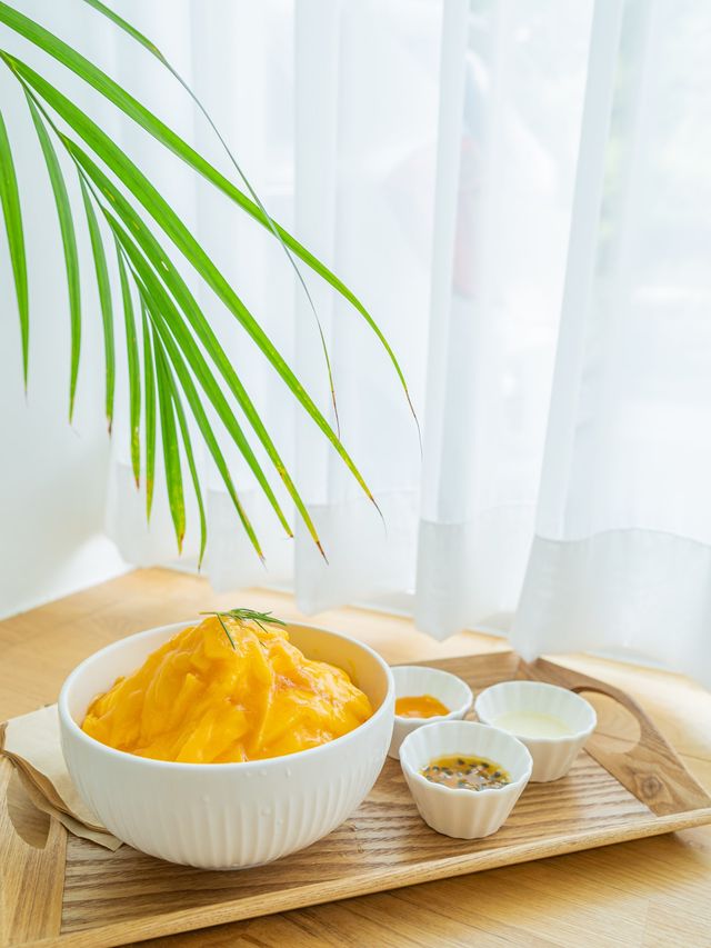 🥭 원주 핫플 카페 망고빙수 맛집 인더무드 