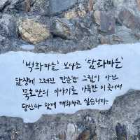 동해여행 필수코스! 바다와 묵호항을 한 눈에 담을 수 있는 <논골담길&논골카페>