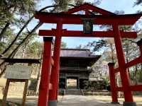 The Hidden Hiyoriyama Park