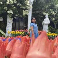 Marian Orchard, Beautiful place 