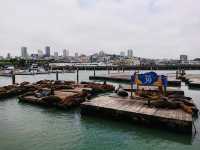 美國舊金山 ｜ 漁人碼頭（Fisherman’s Wharf）