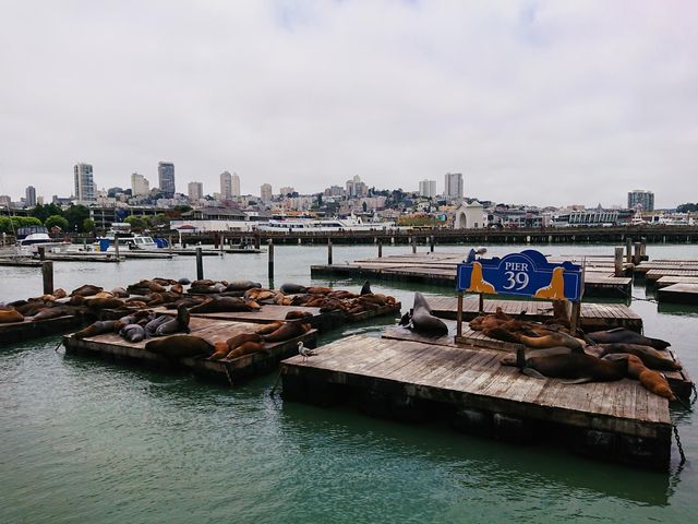 美國舊金山 ｜ 漁人碼頭（Fisherman’s Wharf）