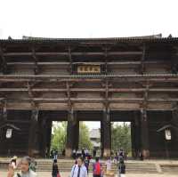 日本奈良 ｜ 東大寺 奈良公園 春日大社