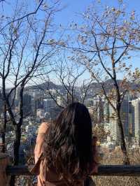 멀리갈 필요가 어디있나요? 서울 N타워에서 단풍 구경하면 되죠🍁