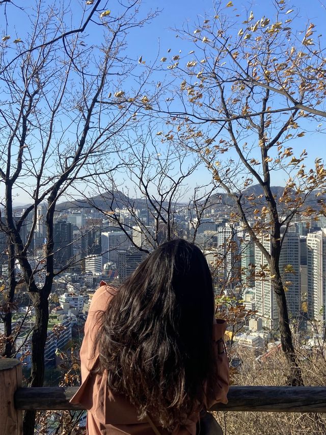 멀리갈 필요가 어디있나요? 서울 N타워에서 단풍 구경하면 되죠🍁
