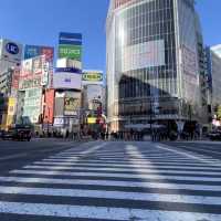 Sunset Viewing at the Shibuya Sky