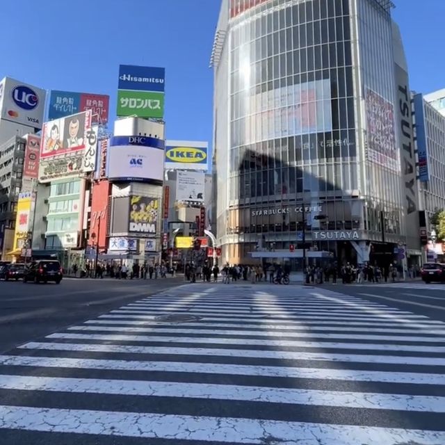 Sunset Viewing at the Shibuya Sky