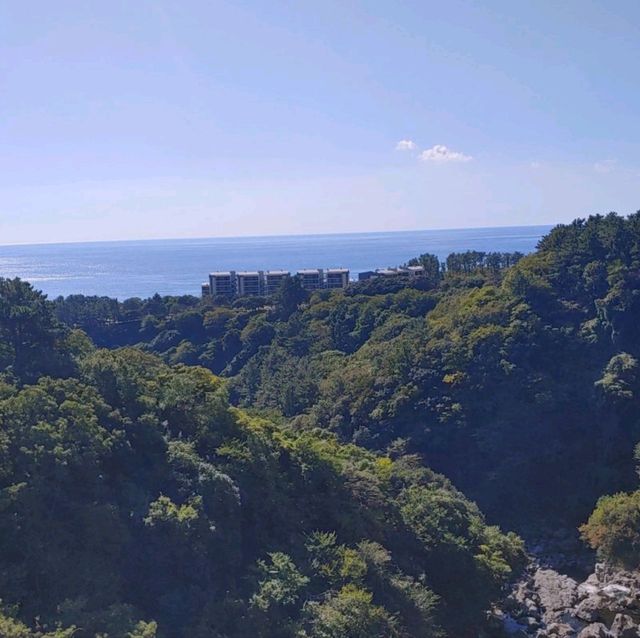 제주도 수학여행 필수코스 천지연폭포를 가보자