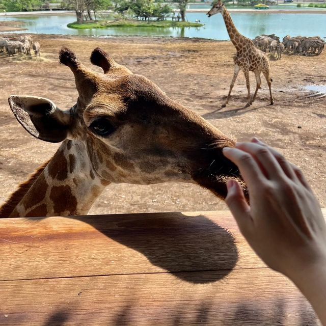 Excellent Experience in Safari World 🇹🇭