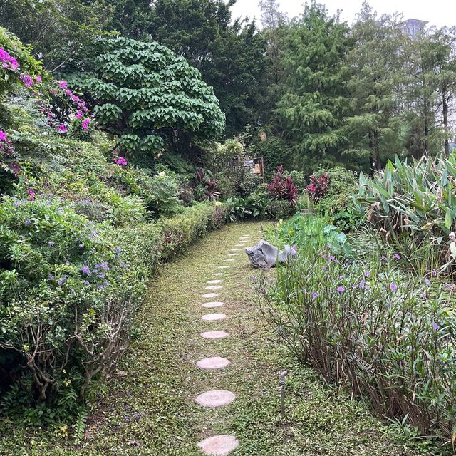 Macau Wetland of Beach Avenue,Taipa