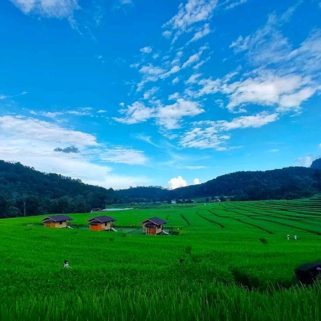 บ้านแม่กลางหลวง ดอยอินทนนท์