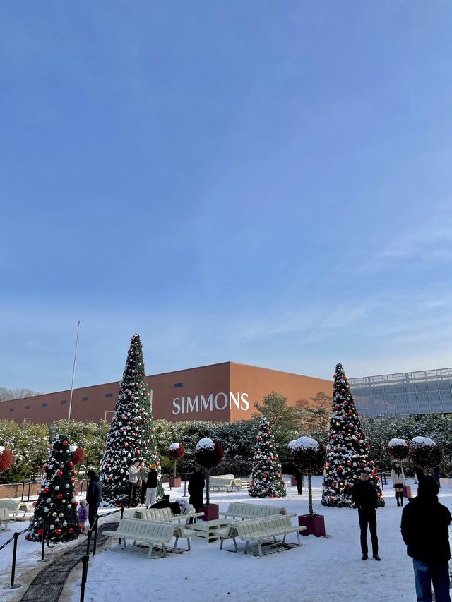 눈 쌓인 시몬스테라스에서 겨울왕국 맛보기❄️