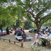 香港仔郊野公園~行山 / BBQ 好去處！
