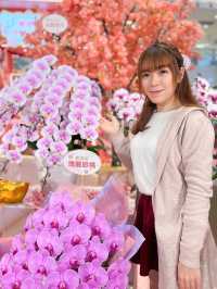 絕美日系新年打卡位🌸「花滿東港．玉兔迎福」和風櫻花園林🌸