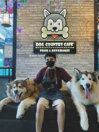 Dog Country Cafe สนุก ไม่จำกัดเวลา