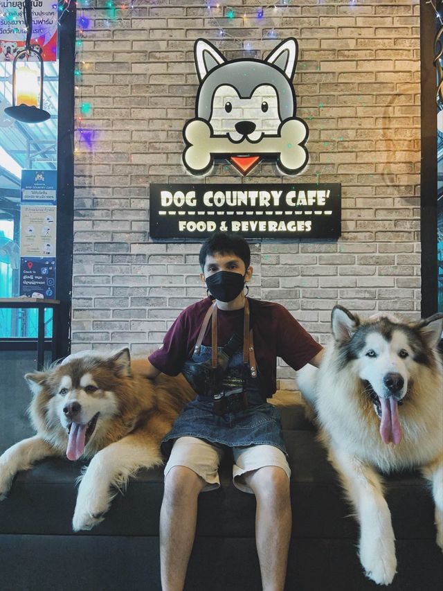Dog Country Cafe สนุก ไม่จำกัดเวลา