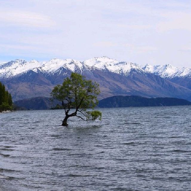 Wanaka Otago Region South Island