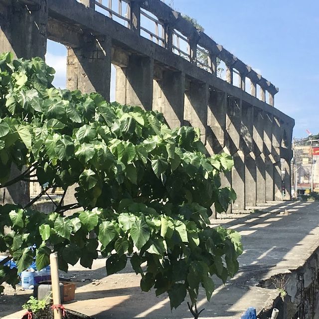 正濱漁港彩色屋、阿根納造船廠遺址-你不能錯過的拍照景點