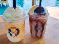 Bubble in the forest คาเฟ่สุดว้าว มีที่หลายโซน