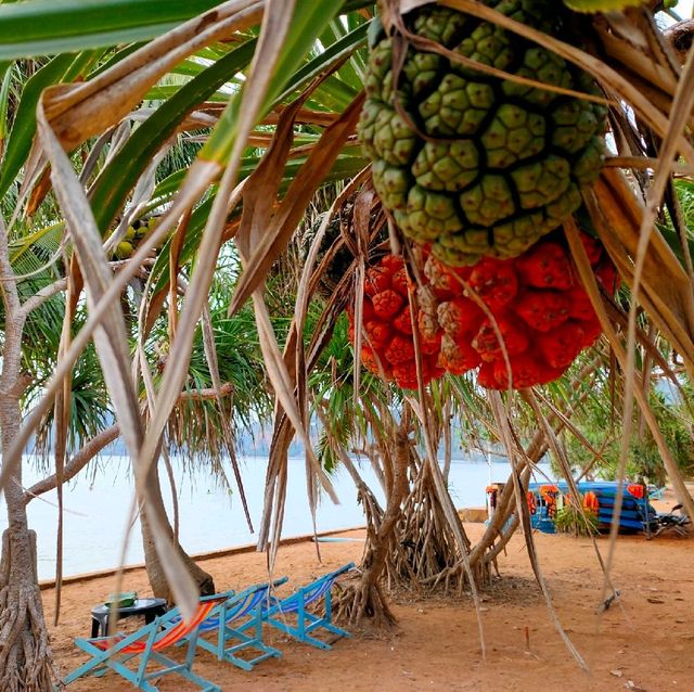 อ่าวนาวิกโยธิน หาดเตยงาม (Toey Ngam Beach)