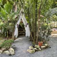 จิบกาแฟ ชมสัตว์ บ้านสวนกวาง โฮมสเตย์&คาเฟ่ พัทลุง