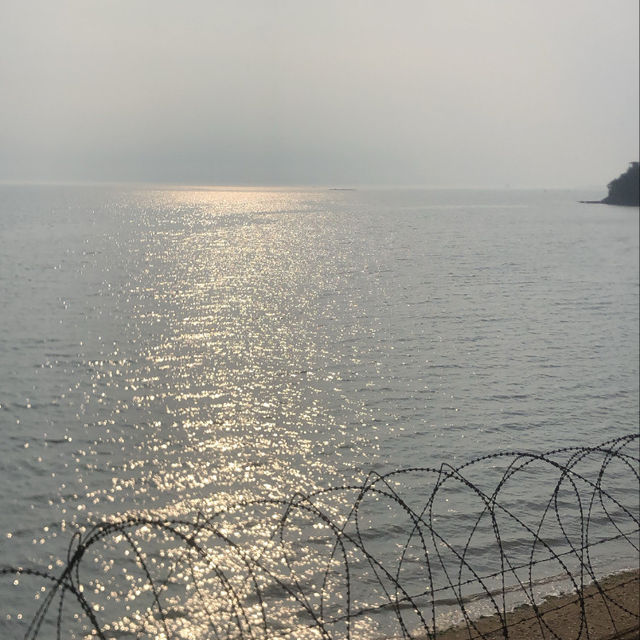 궁평항에 야자수 카페가 ?! 🌴