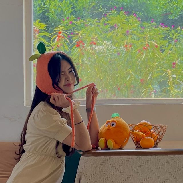 제주 카페, 청춘부부